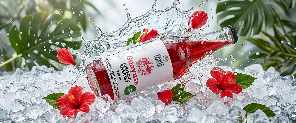 Guayusa Pachamama Cold Brew -pullo murskatun jään päällä, hibiskuskukkien kera.