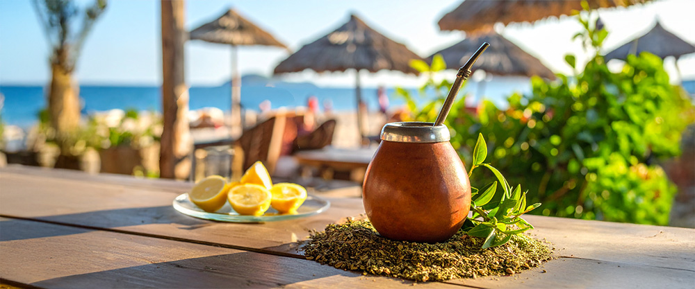 Maustettu yerba mate – sitrushedelmät