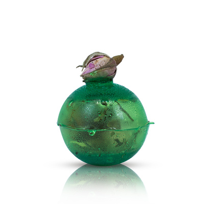 Mary Rose – Sunny Garden teepommi (mini)