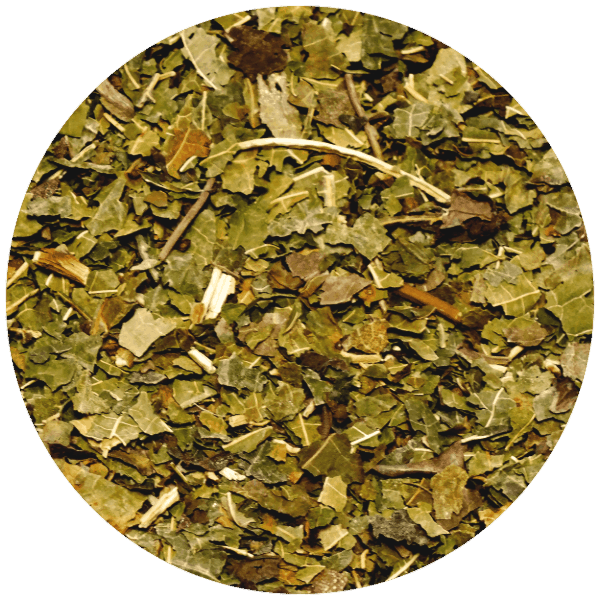 Vivarini - Mulberry (lehti) 50g