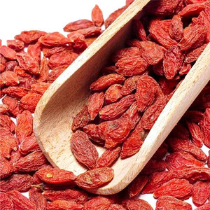 Vivarini - Goji Marjat (kuivatut) 50g