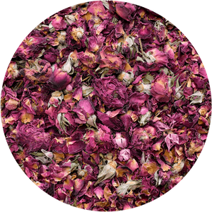Mary Rose - Red Rose 20g - ruusun kukka
