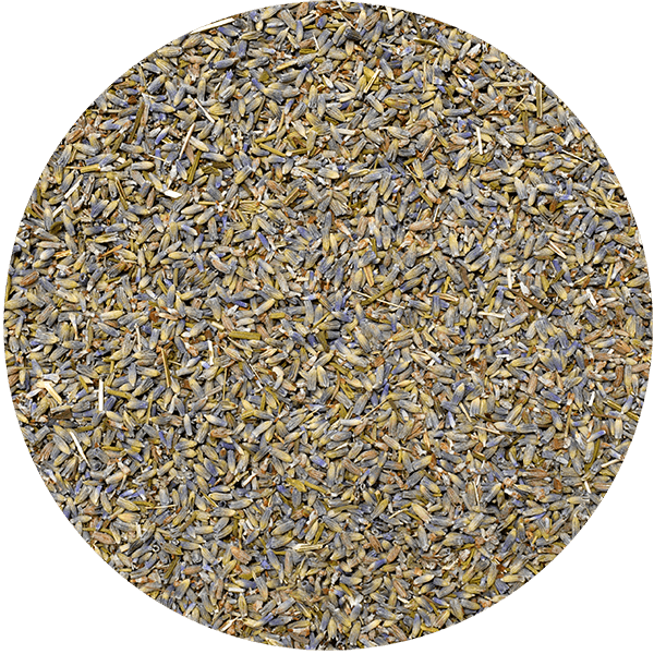 Mary Rose - Laventeli 25 g (luomu)
