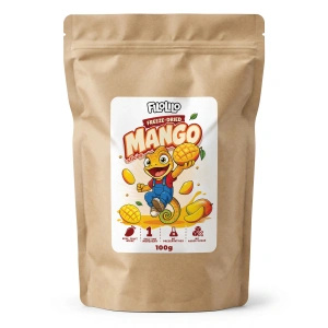 FiloLilo – Pakastekuivattu mango (viipaleet) 100 g