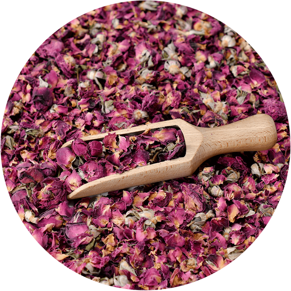 Mary Rose - Red Rose 20g - ruusun kukka