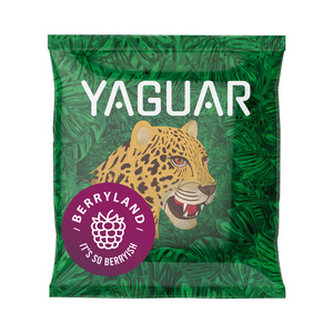 Setti Yerba Mate Yaguar 10x50g Calabash Bombilla