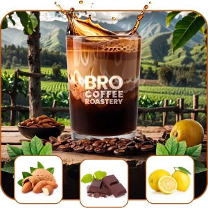 Kahvimestaripakkaus Bro Coffee Roastery Brazil Samba + Brasilia Guaxupe + Brasilia Cerrado 3x1kg (3kg)