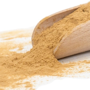 Magic Pwdr – Reishi 50 g