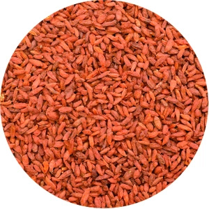 Vivarini - Goji Marjat (kuivatut) 1kg