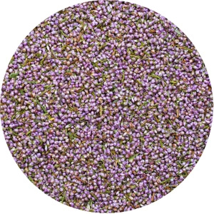 Mary Rose - Heather 30g