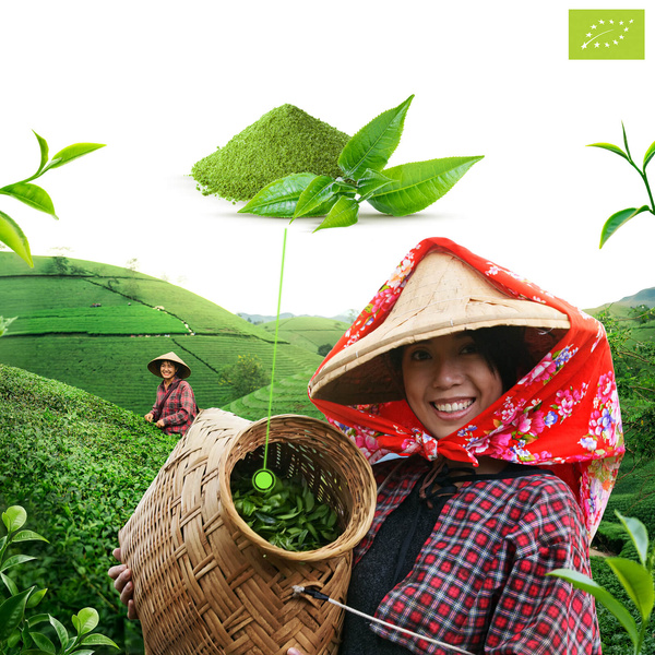 Mary Rose – Japanilainen Vihreä Matcha Tenno Tee (BIO) Seremoniallinen 50 g