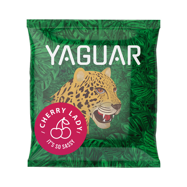 Setti Yerba Mate Yaguar 10x50g Calabash Bombilla
