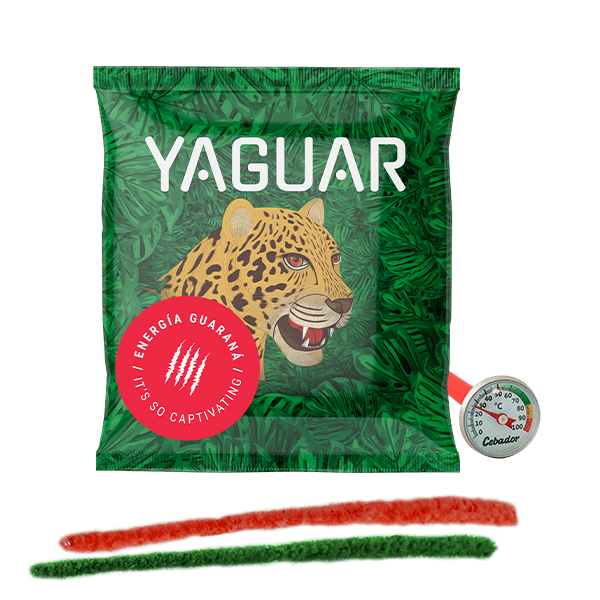 Yerba Mate tee 50g + lämpömittari + puhdistusaine setti