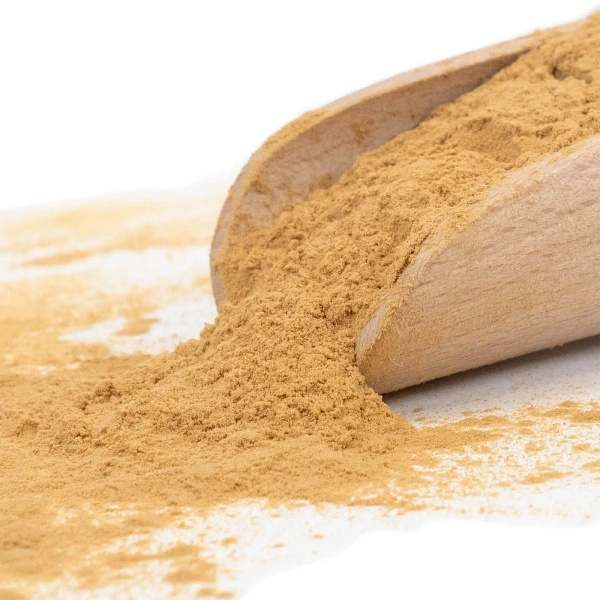 Magic Pwdr – Reishi 50 g