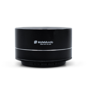 Kaiutin MateMundo-logolla