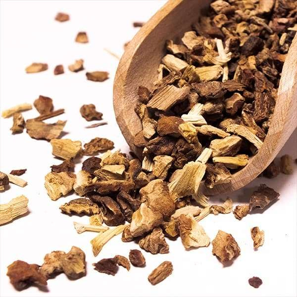 Vivarini - Sarsaparilla (juuri) 50g