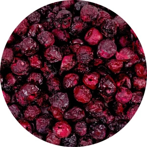 FiloLilo – Pakastekuivatut kirsikat (kokonaiset, kivettömät) 100 g