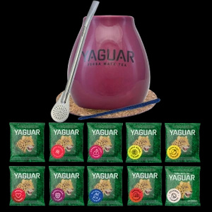 Setti Yerba Mate Yaguar 10x50g Calabash Bombilla