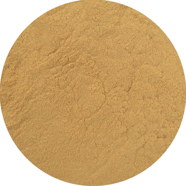 Magic Pwdr – Reishi 50 g