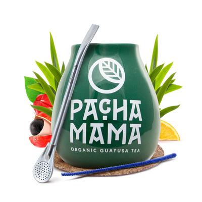 Setti Gourd + Bombilla 19cm Yerba Mate Guayusa