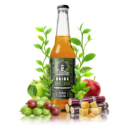 Guarani Drink - Kylmäjuoma Yerba Mate infuusio - Mentha & Boldo 330ml