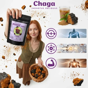 Magic Pwdr – Chaga – Pakurikääpä 50 g