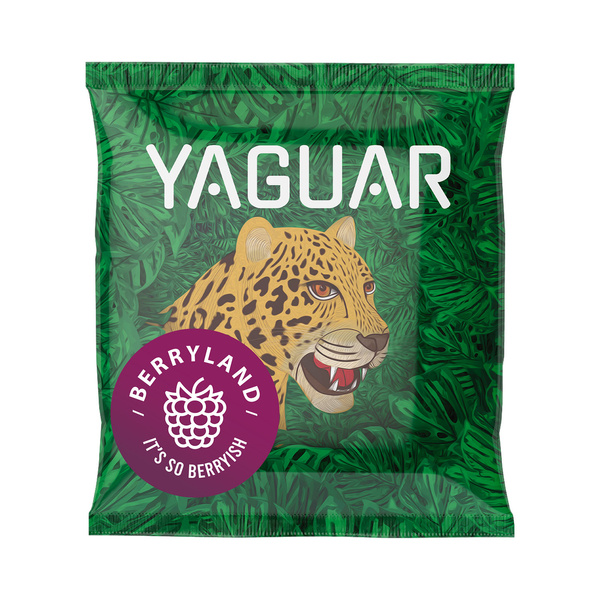 Setti Yerba Mate Yaguar 10x50g Calabash Bombilla