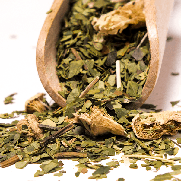 Yerbera - Tinapurkki + Verde Mate Green Cactus de Juarez 0.5kg