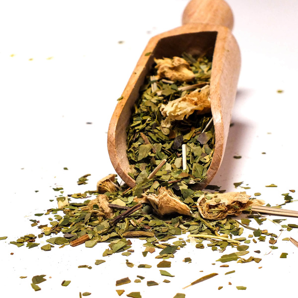 Lahjasetti Yerba Mate Verde Mate Cactus 0,5kg