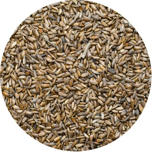 Vivarini - Maitohorsma (siemenet) 1 kg