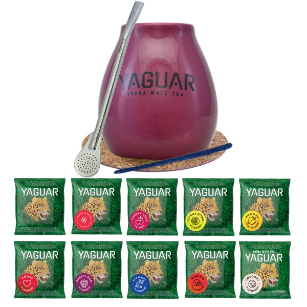 Setti Yerba Mate Yaguar 10x50g Calabash Bombilla