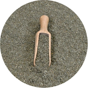 Vivarini - Salvia 20g