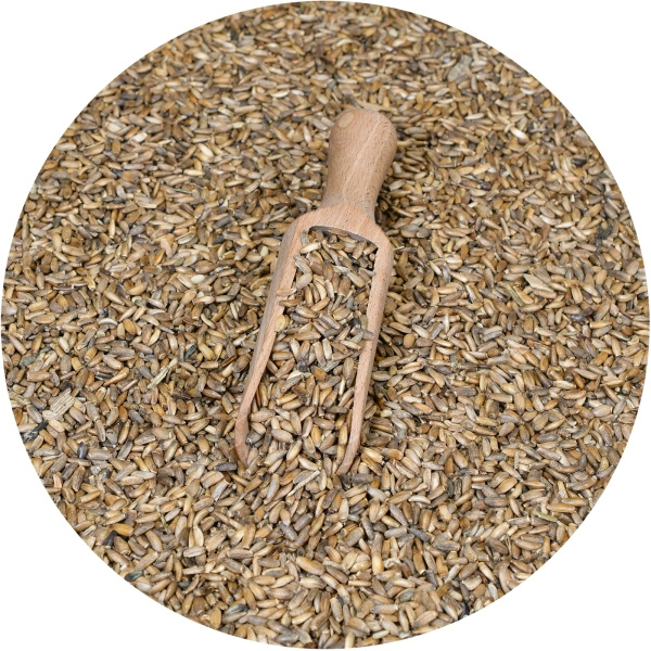 Vivarini - Maitohorsma (siemenet) 1 kg