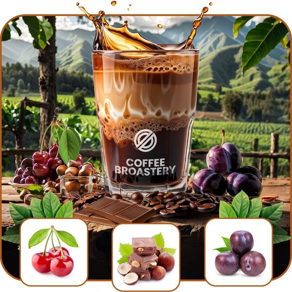 Bro Coffee Roastery - Täysjyväkahvi Costa Rica San Rafael Speciality 400g