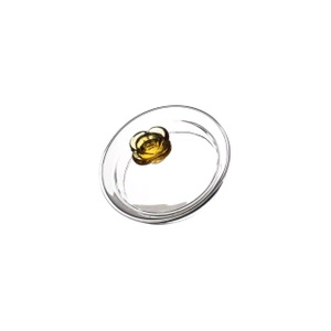 Lasinen teekannu, jossa on keitin Flor 600ml
