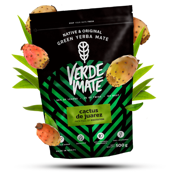 Yerba Mate kaktus setti
