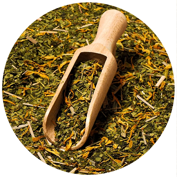 Verde Mate Green Sarsaparilla - product