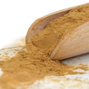 Magic Pwdr – Chaga – Pakurikääpä 50 g