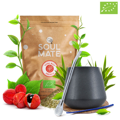 STARTER KIT YERBA MATE BOMBILLA CALABASH 500g