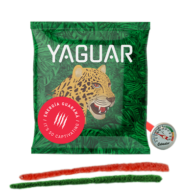 Yerba Mate tee 50g + lämpömittari + puhdistusaine setti