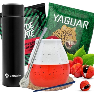 Yerba Mate aloituspakkaus THERMOS Mate Gourd 2x50g