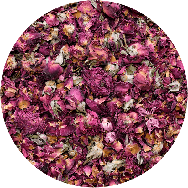 Mary Rose - Red Rose 20g - ruusun kukka
