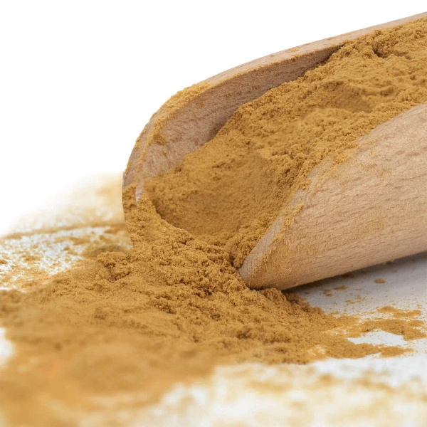 Magic Pwdr – Chaga – Pakurikääpä 50 g