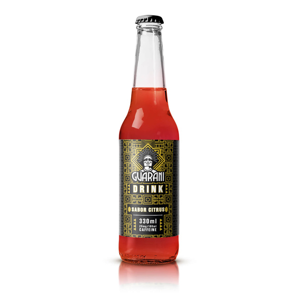 Guarani Drink - Kylmäjuoma Yerba Mate infuusio - Sabor Citrus 330ml
